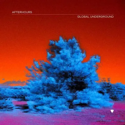 Produktbild von Global Underground:Afterhours 9