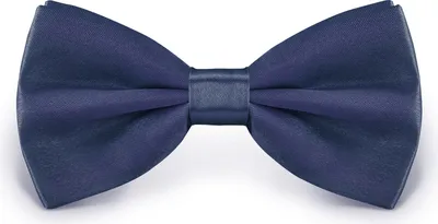 Produktbild von Fliege Tiefblau Größe verstellbar aus Polyester einfarbig uni schmale 12 cm