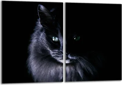 Immagine prodotto di Set di piastre di copertura per piano cottura 2x40x52 cm in Vetroceramica, paraspruzzi in vetro, nero gatto