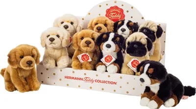 Produktbild von Hunde sitzend 4-fach sort. 15 cm im Display