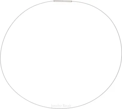 Produktbild von Boccia Halsreif 0803-0142 Edelstahl mit Titan