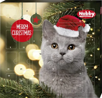 Productafbeelding van Nobby Adventskalender voor katten