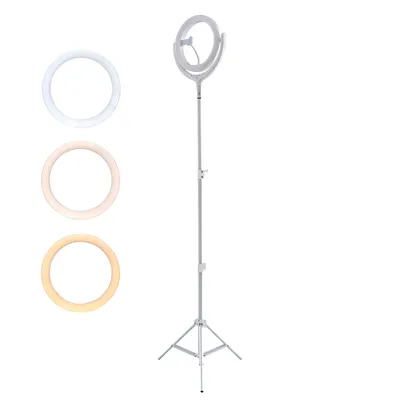 Zdjęcie produktu dla 4smarts LoomiPod Lampa podogowa Selfie Lampa piercieniowa LED - biaa