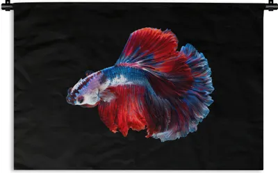 Produktbild von MuchoWow® Wandteppich Wandbehang Fisch - Schwanz - Schwarz 60x40 cm Tapisserie Dekoration Wandtuch - Wanddekorationen