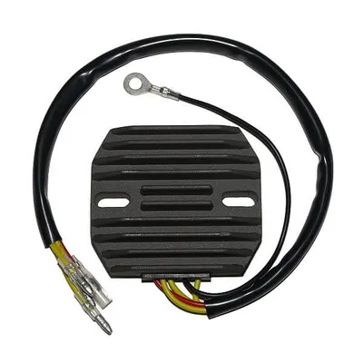 Produktbild von ElectroSport Laderegler ESR 101