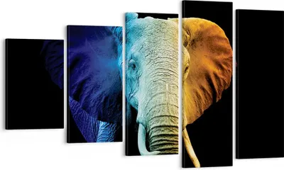 Produktbild von Bild auf Leinwand - Leinwandbild - 5 Teile - Bunt Elefant Fotografie - 100x60cm - Wand Bild - Wanddeko - Wandbilder - Leinwanddruck - Bilder - Wanddekoration - Leinwand bilder - EG100x60-4768