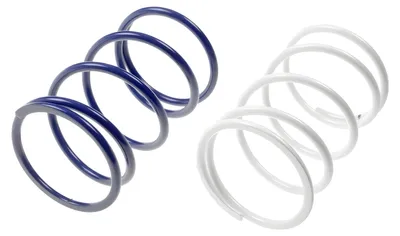 Image de Kit de ressorts de contre-pression Polini pour Peugeot Jet-Force C-Tech 50, PGO Rodoshow