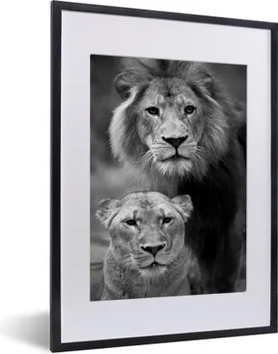 Produktbild von MuchoWow® MuchoWow® Gerahmtes Poster Porträt eines Löwen und einer Löwin - schwarz und weiß 30x40 cm - Poster mit zchwarzem Bilderrahmen - Wandposter Schlafzimmer