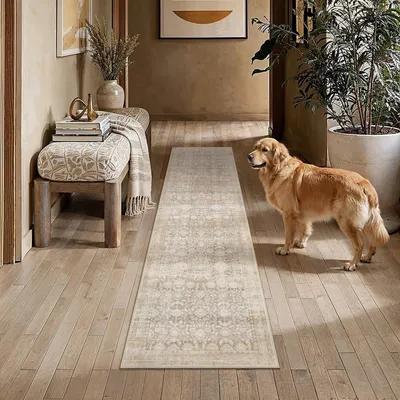 Immagine prodotto di Passatoia lavabile - Antiscivolo - 60 x 240 cm - Beige - Pelo corto