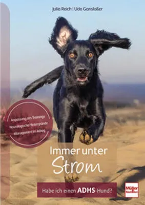 Obrázok produktu pre Immer unter Strom