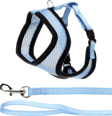 Produktbild von Flamingo Harms Katzengeschirr-Set blau/schwarz