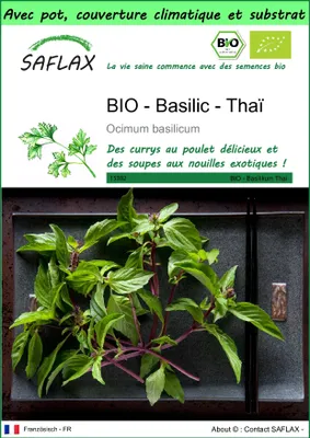 Image de SAFLAX Garden to go -- Basilic - Thaï - 250 graines - Ocimum