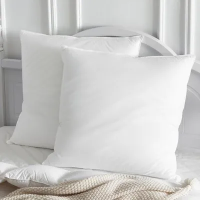 Image de Coussin en duvet 80x80 cm - Garnissage naturel en duvet et plumes
