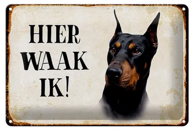 Produktbild von Blechschild Spruch 30x20cm holländisch Hier Waak ik Dobermann