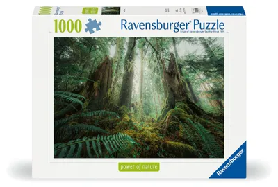 Zdjęcie produktu dla Ravensburger 12000292, 1000 szt., 14 lat(a)