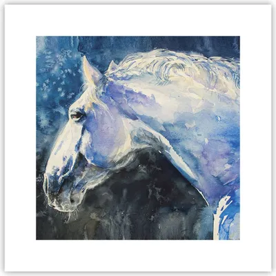 Produktbild von Poster - Poster ohne Rahmen - Pferd Aquarell Porträt - 30x30 cm - Wand Bild - Wanddeko - Wandbilder - Kunstposter - Wandposter - Bilder - Kunstdruck - Wanddekoration - Wandbild - P2XAC30x30-4272