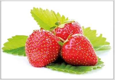 Produktbild von Wallario Wandbild Frische rote Erdbeeren für die Küche, Größe: 70,30 x 100,30 cm, Poster mit weißem Kunststoffrahmen