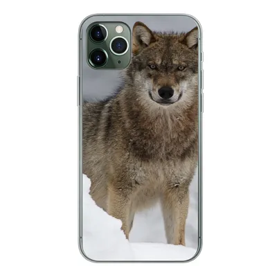 Produktbild von MuchoWow® Handyhülle Schutzhülle Hülle für iPhone 11 Pro Max Wolf - Schnee - Tiere Silikon Softcase Handy Hülle - Schutz