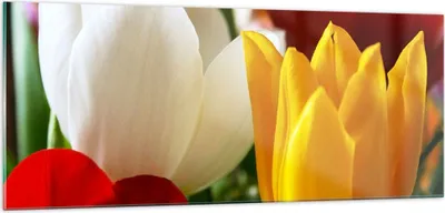 Produktbild von Bilder auf glas - Tulpen Vase Blumenstrauß - 100x40cm - Glasbilder - Wandbilder - Kunstdruck - zum Aufhängen bereit - Wanddekoration aus Glas - Glas Bilder - Wandbild auf Glas - GAB100x40-1366