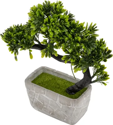 Produktbild von Künstliche Bonsai-Pflanze im modernen Betontopf – Pflegeleichte Dekoration, hochwertig verarbeitet, detailgetreu – 24 cm hoch, 23 x 8 cm