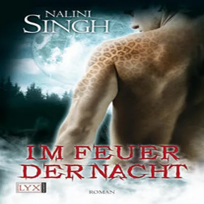 Obrázek produktu pro Im Feuer der Nacht