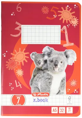 Immagine prodotto di herlitz 340075 Quaderno x.book DIN A5 righe 7 / a scacchiera