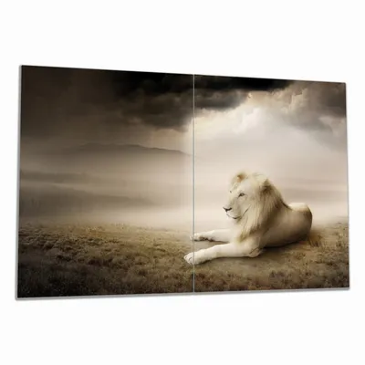 Produktbild von Wallario Herdabdeckplatte aus Glas, Größe 80 x 52 cm 2-teilig, Motiv Stattlicher ruhender Löwe in Afrika in Sepiafarben