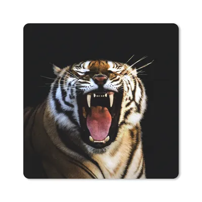 Produktbild von MuchoWow® Mauspad Mousepad Tiger - Zähne - Schwarz 20x20 cm - Mousepads - Maus Mat - Pad - Mausunterlage - Desk Mat - Bureauartikeln