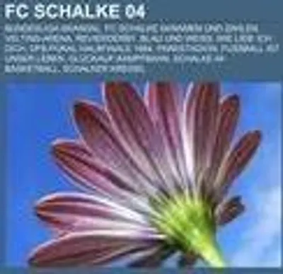 Produktbild von FC Schalke 04