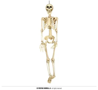 Obrázek produktu pro Kostlivec - kostra k zavěšení - HALLOWEEN - 90 cm