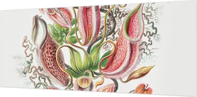 Produktbild von Wandtapete - Dekorative Tapete für Wohnzimmer- Tapetenfolie für Wanddekoration - 208x146 cm - Pflanzendetails