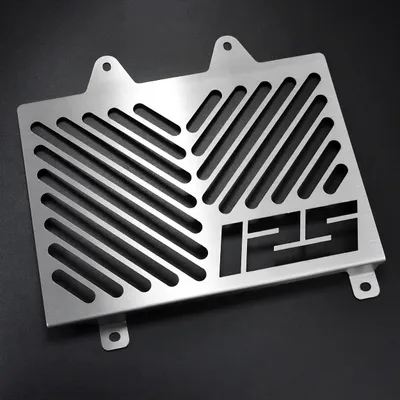 Image de ZIEGER Protège radiateur compatible avec KTM 125 Duke Design logo argent