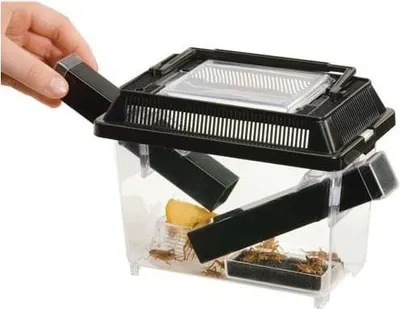 Zdjęcie produktu dla EXO TERRA Cricket Pen S Terrarium na karmówkę (18x14x11cm) Exo terra