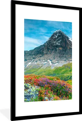 Produktbild von MuchoWow® Gerahmtes Poster Blumen - Berge - Schnee - Landschaft 60x90 cm - Poster mit Schwarzem Bilderrahmen Wandposter Rahmen Foto Bilder - Dekoration - Wandposter Wohnzimmer - Hochwertig