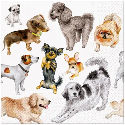 Produktbild von Servietten 33x33 cm - Dogs Happiness
