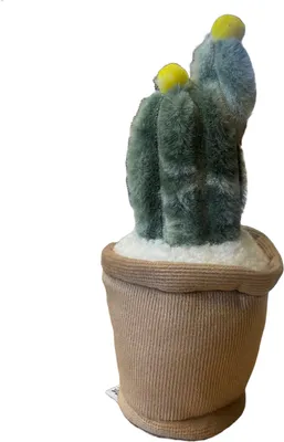 Produktbild von Take Me Home plant pluche Cactus met geel 12-17cm 660620