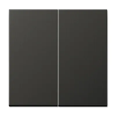 Image de Jung AL 2995 AN Interrupteur électrique anthracite (AL2995AN)