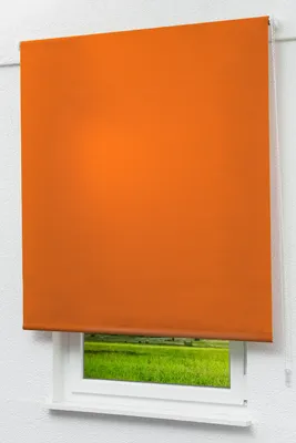 Produktbild von Lysel Outlet - Basisrollo Struktur Tageslicht Rotorange, (B x H) 152.50cm x 190cm in orange/rotorange