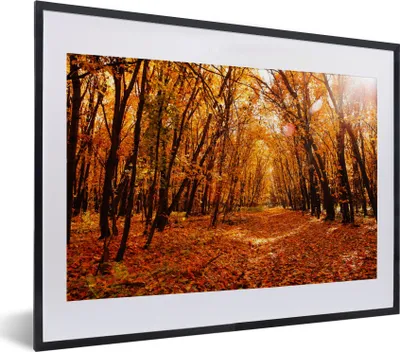 Produktbild von MuchoWow® Gerahmtes Poster Herbst - Wald - Laub - Jahreszeiten 40x30 cm - Poster mit Schwarzem Bilderrahmen Wandposter Rahmen Foto Bilder - Bilderrahmen - Poster im Rahmen