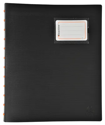 Image de Chemises transparentes avec anneaux