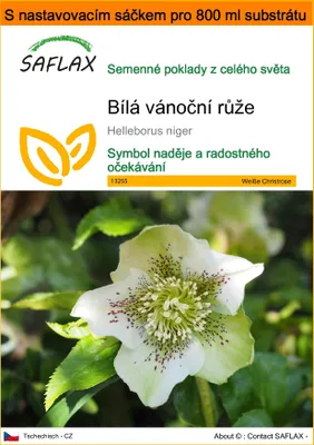 Obrázek produktu pro SAFLAX Garden in the bag - Bílá vánoční růže - Helleborus niger - 6 Semena - S pěstebním substrátem v praktickém samovztyčovacím sáčku