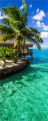 Produktbild von Wallario selbstklebendes Poster - Karibisches Meer  Einsame Hütte unter Palmen, Größe: 80 x 200 cm