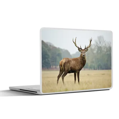 Produktbild von MuchoWow® Laptop Aufkleber Sticker Cover Hirsche - Tiere - Geweihe 40x30 cm - Laptop Dekoration - Selbstklebend