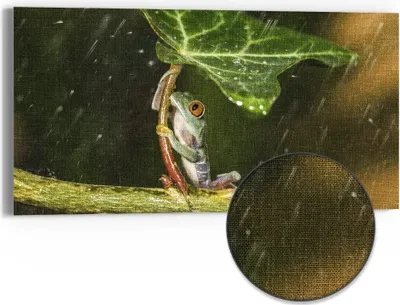 Produktbild von DEQORI Hybrid Leinwand Bild 60x30 cm 'Regenwaldjuwel' Wandbild Glas flach modern