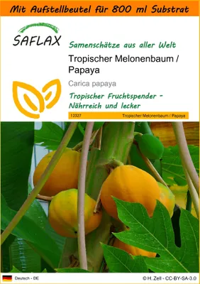 Produktbild von SAFLAX Garden in the bag - Tropischer Melonenbaum / Papaya - Carica papaya - 30 Samen - Mit Anzuchtsubstrat im praktischen, selbst aufstellenden Beutel