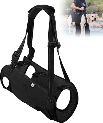 A black dog support harness is shown in the foreground, with a smaller inset image of a person using a similar harness to help a dog walk.