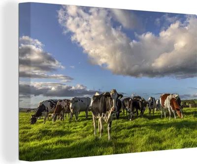 Produktbild von OneMillionCanvasses® - Leinwandbilder - 140x90 cm, Kühe - Licht - Gras, Wandbilder Kunstdruck Wanddekoration