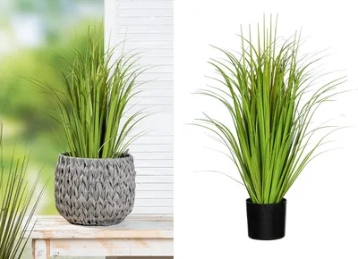 Produktbild von Gilde Getopfte Pflanze, Gras / Gräser, Kunststoff, grün, , H. 70 cm, D. 45 cm  57173