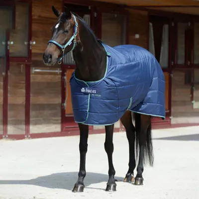 Produktbild von Bucas Unterdecke 300g Quilt Stay Dry Navy 115