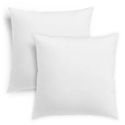 Produktbild von sleepling - Federkissen, 60 x 60 cm, 2er Set, Inlet, Füllung 100% Federn, Downpass